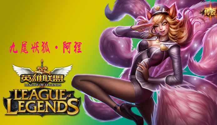 合理预算分